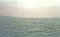 B545_65_w.jpg (37920 Byte)