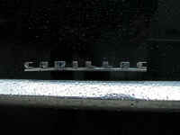 DSCN7483_w.jpg (37011 Byte)