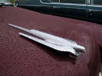 DSCN7501_w.jpg (45352 Byte)