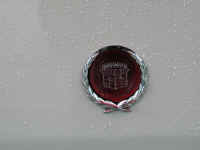 DSCN7549_w.jpg (35242 Byte)