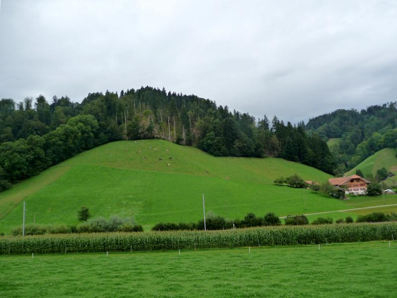 P1090919.JPG