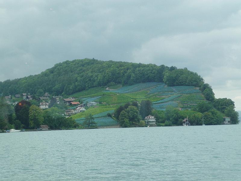 P1100036.JPG