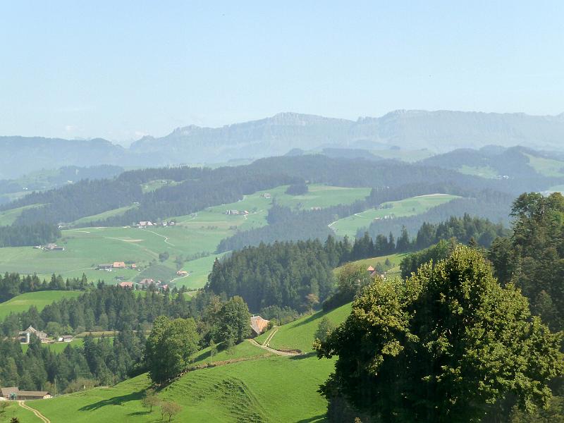 P1100342.JPG