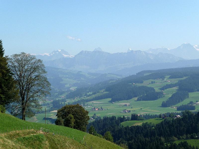 P1100347.JPG