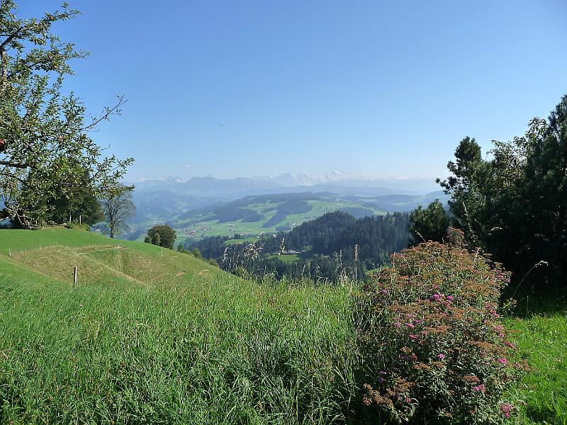 P1100351.JPG