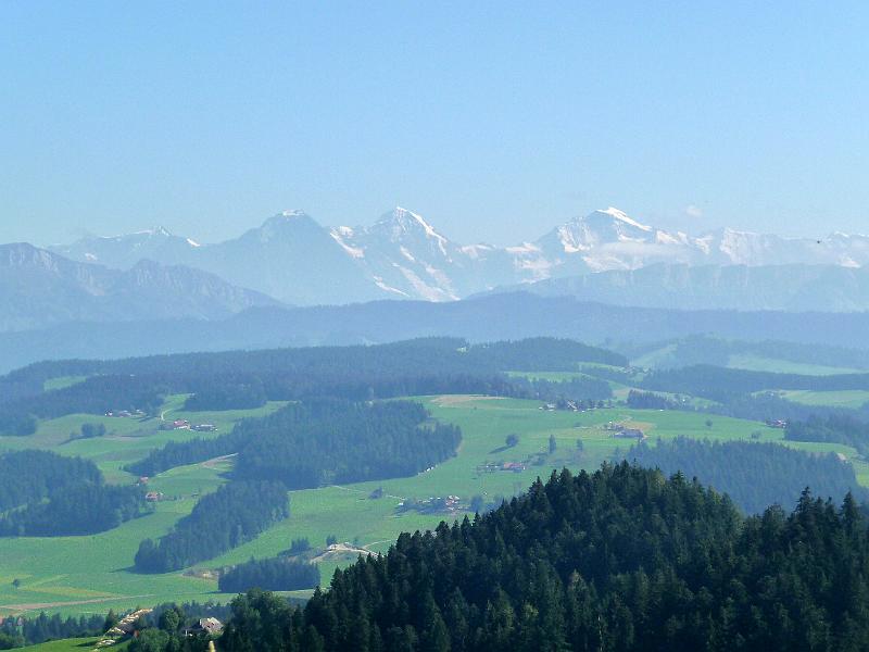 P1100352.JPG