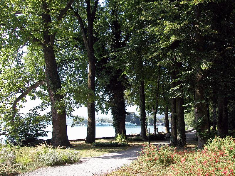 DSCN6128.JPG