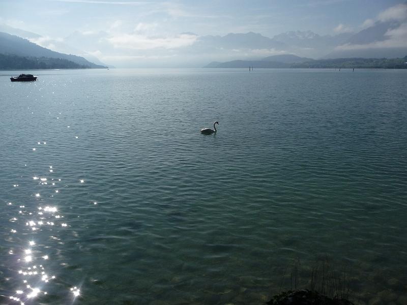 P1100250.JPG