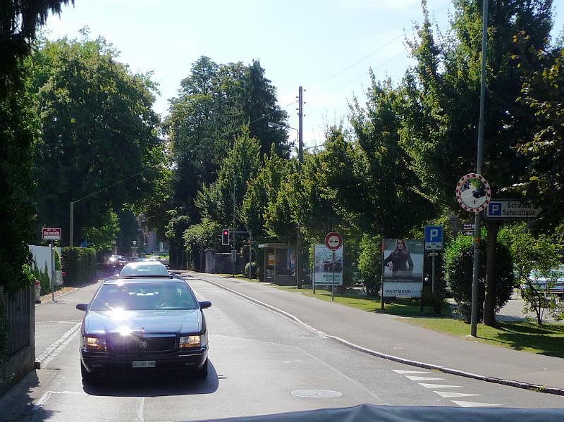 P1100259a.jpg
