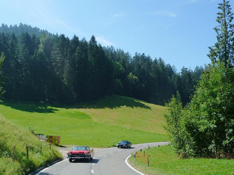 P1100266a.jpg