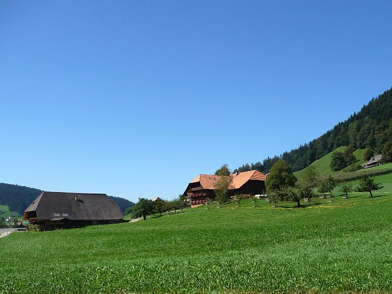 P1100290a.jpg
