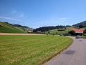 DSCN6167