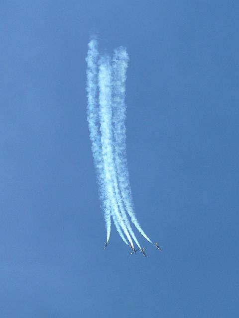 P1100380a.jpg - Looping