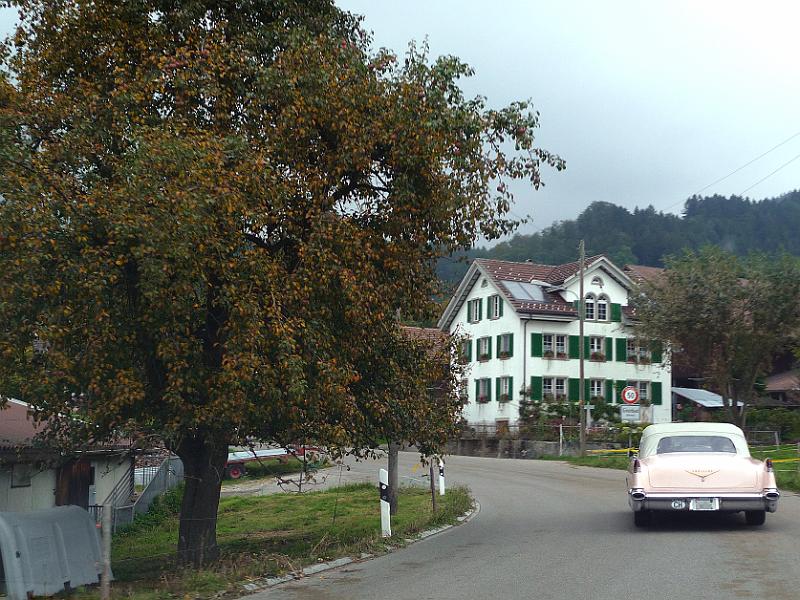 P1110400.JPG - Die Bäume zeigen langsam Herbstfarben