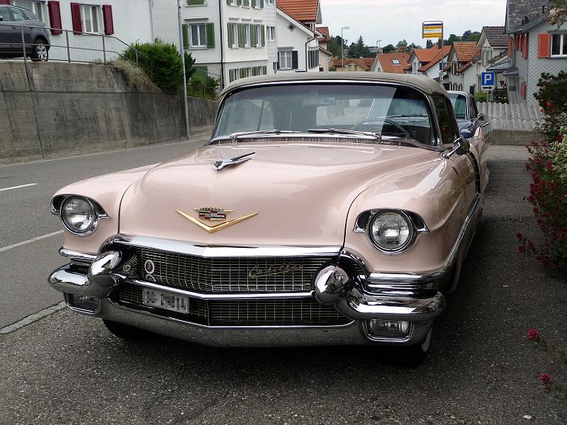 P1070810.JPG - Klassisches 'pink'
