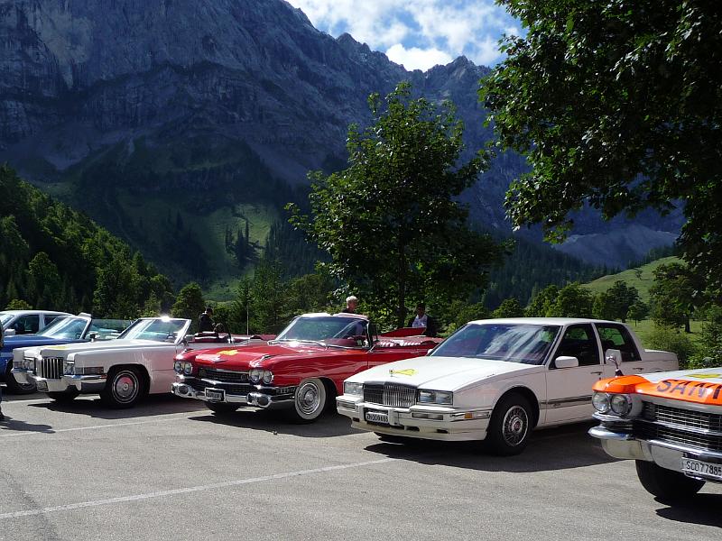 P1100954.JPG - -