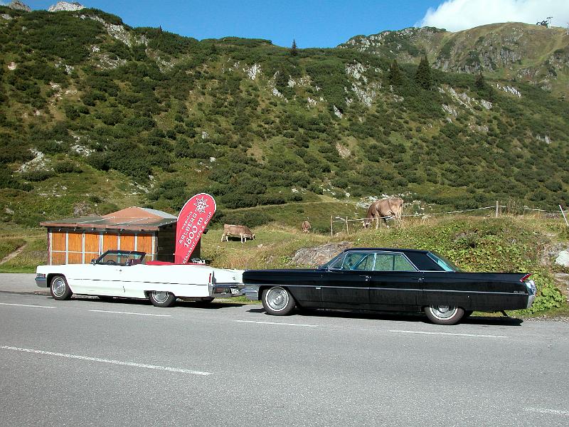 DSCN6552.JPG - -