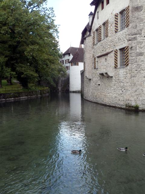 2010-09-26_053_P1240271.JPG - Romantischer Burggraben mit Enten