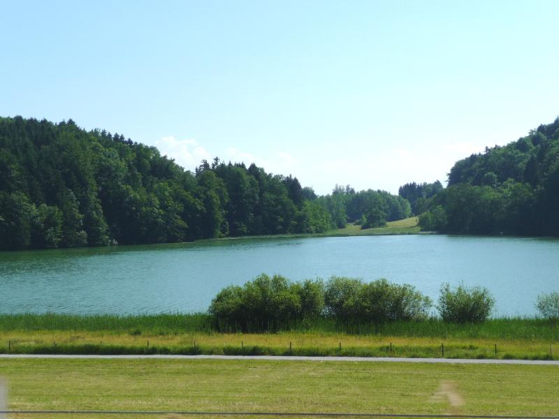 20100627-188_P1170515.JPG - Auf der Heimfahrt grüsst nochmals der Türlersee