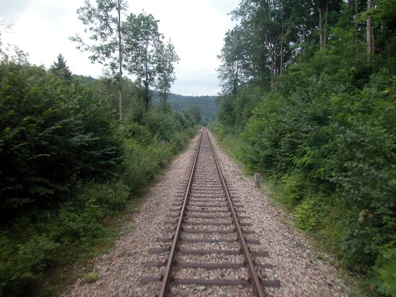 20100808-229_DSCN8428.JPG - Der Schein trügt, die Sauschwänzlebahn hat ihren Namen zu Recht