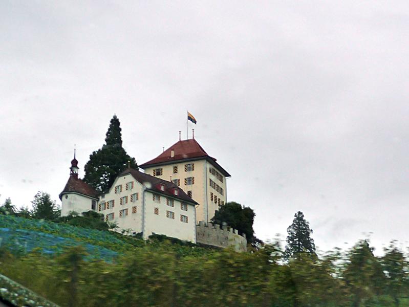 130_P1340643a.jpg - Schloss Heidegg grüsst von den Rebbergen herab