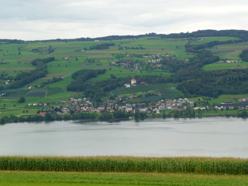 910_P1340860.JPG - Schloss Heidegg auf der anderen Seite des Baldeggersees