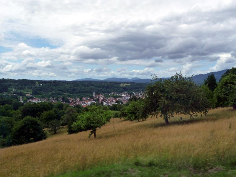 0850_P1300234.JPG - Gemütliche Spazierfahrt durch die schöne hügelige Landschaft des Süd-Schwarzwalds