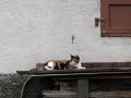 0530_DSCN0968