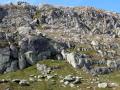0920_DSCN0993