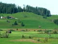 170_P1570773