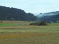 175_P1570785