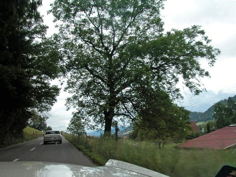 DSCN3494.JPG -           