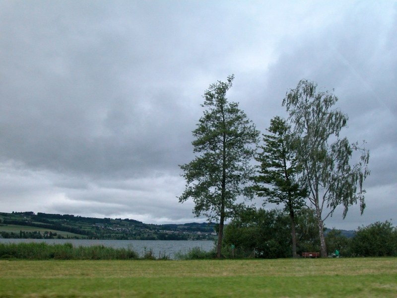 DSCN3507.JPG -           