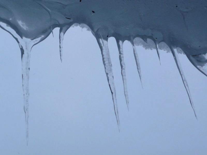 0030_P1480609.JPG - Es ist eiskalt und neblig