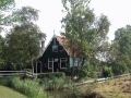 245_DSCN3872