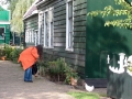 275_DSCN3877