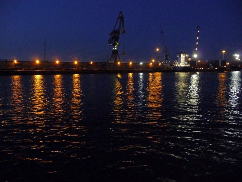 355_P1560550.JPG