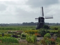 365_P1560897