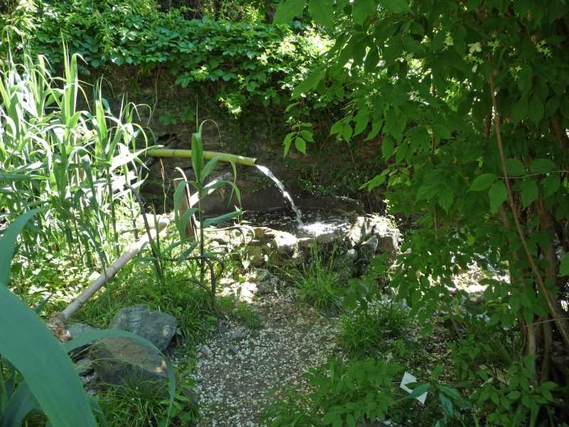 7020_P1630405.JPG - Auch ein kleiner botanischer Garten gehört zum Hotel