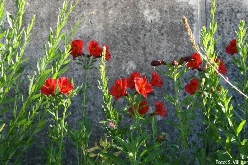 7022_286.jpg