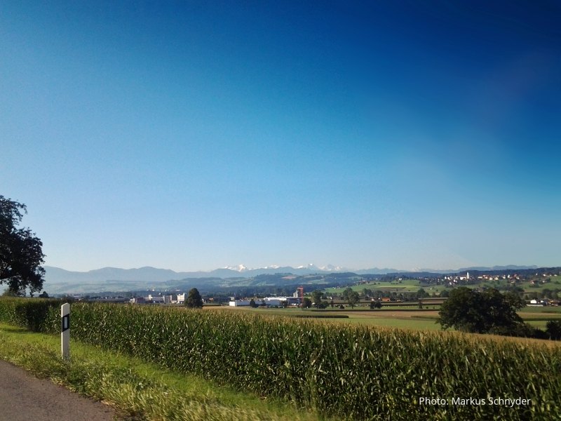 000_20140817_084521.jpg