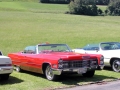 190_DSCN6719