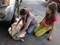 240_DSCN6746