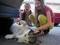 245_DSCN6750