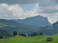 390_P1800654
