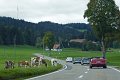 0115_P1040611