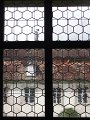 345_P6169715_A