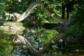 1120_P1380062