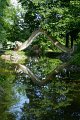 1125_P1380064