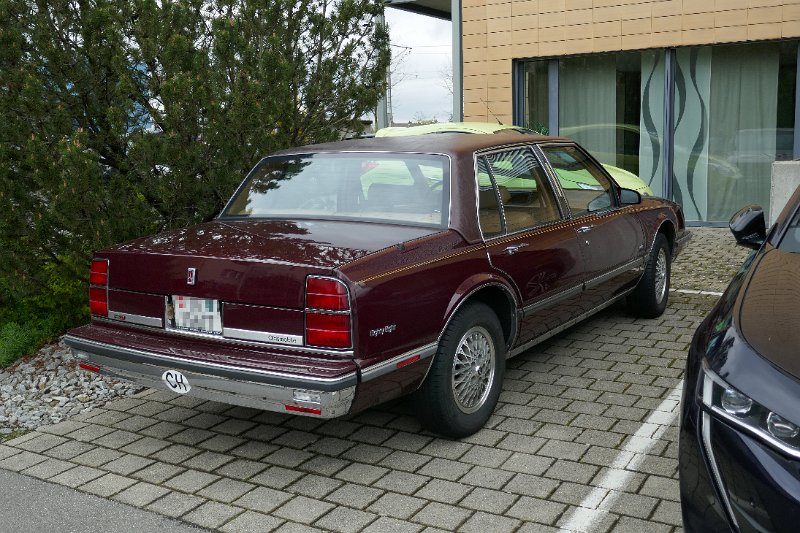 355_P1060392.JPG